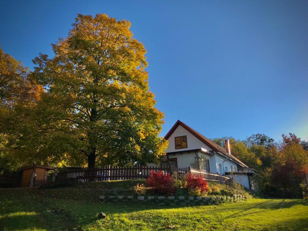 Ferienhaus Koller Güssing Eksteriør billede